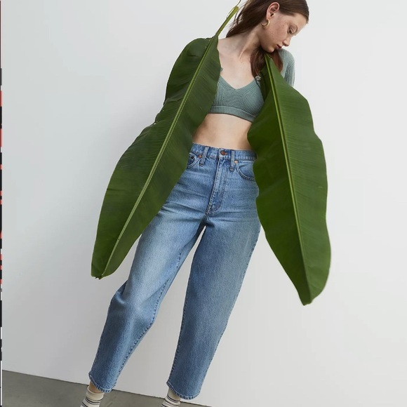 Madewell Denim - Madewell Balloon Jeans in Whistler Wash